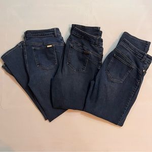 Chico’s So Lifting So Slimming Collection blue jeans bundle size 2 shirt (sz 12)